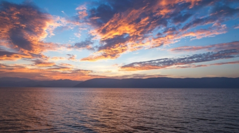 pexels-instawally-165754 (1)