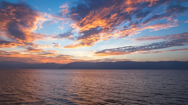 pexels-instawally-165754 (1)